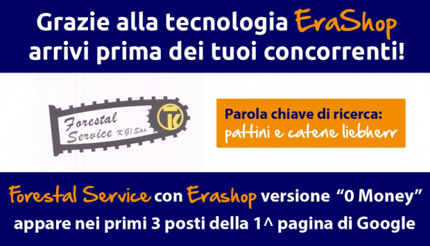 Forestal Service nella 1^ pagina di Google grazie a Erashop